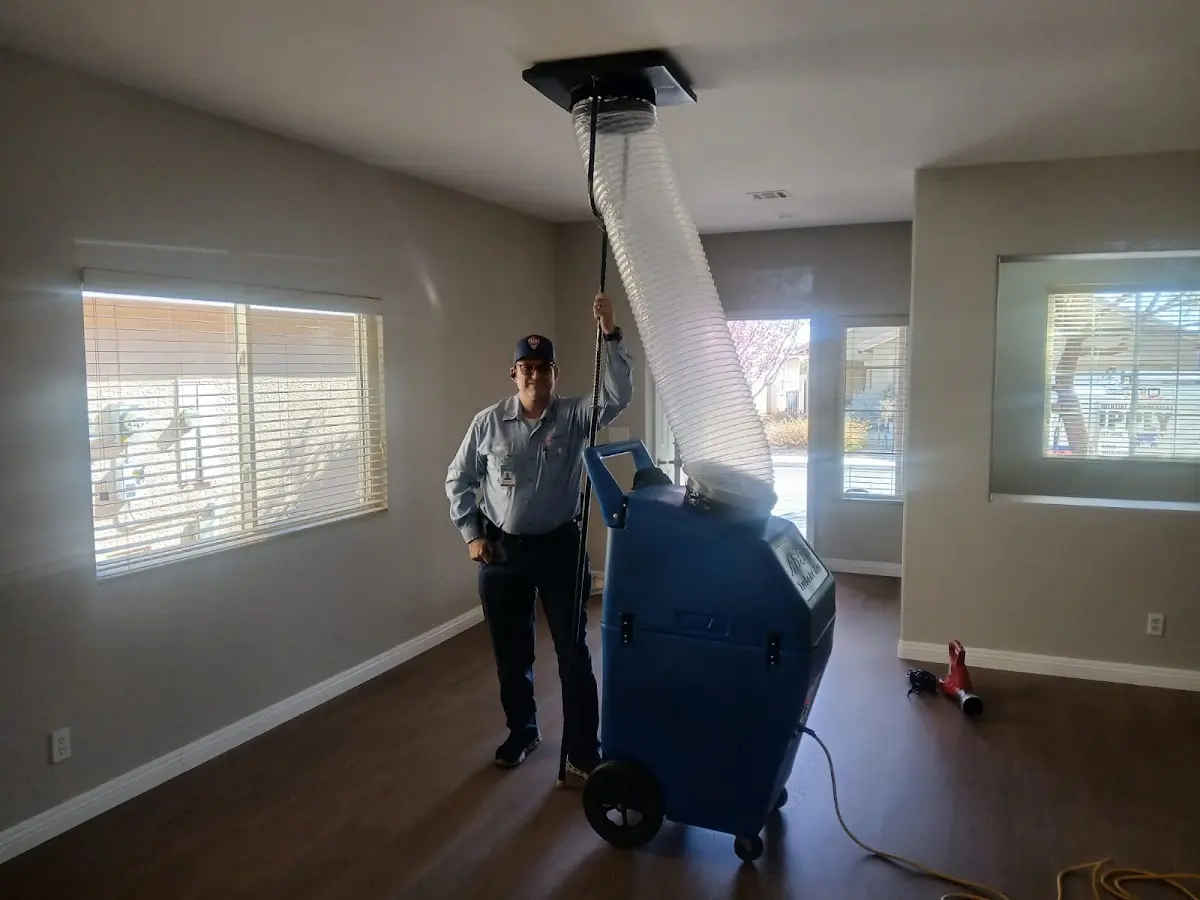 Professional Dryer Vent Cleaning work inside a Bothell West home